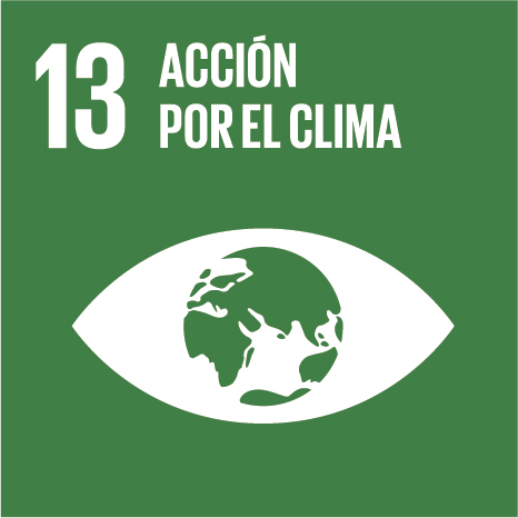 ACCIÓN POR EL CLIMA - Adoptar medidas urgentes para combatir el cambio climático y sus efectos