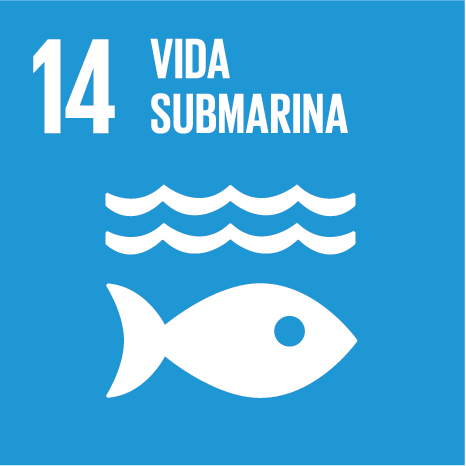 VIDA SUBMARINA - Conservar y utilizar en forma sostenible los océanos, los mares y los recursos marinos para el desarrollo sostenible