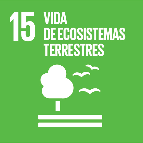 VIDA DE ECOSISTEMAS TERRESTRES - Gestionar sosteniblemente los bosques, luchar contra la desertificación, detener e invertir la degradación de las tierras y detener la pérdida de biodiversidad